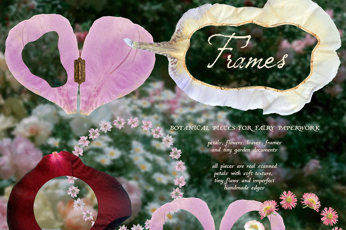 Petals Garden Collage Kit, an Object Graphic by Purple (Photo 12 of 15)