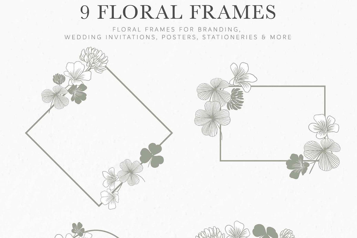 Clover Botanicals - Florals & Leaves, an Illustration by Momo Studio (Photo 7 of 12)