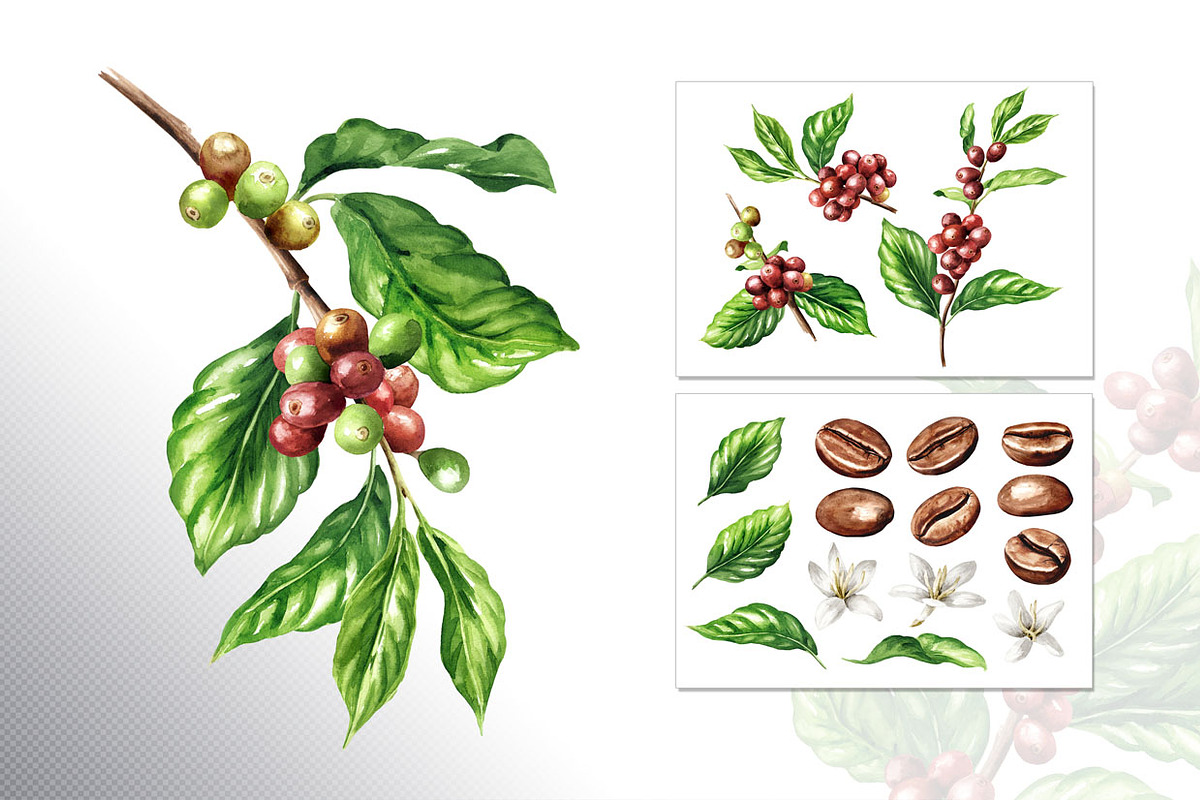 Coffee Time. Watercolor hand drawn, a Food Illustration by Daria Ustiugova (Photo 17 of 18)
