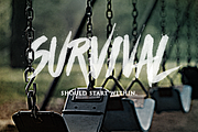 Haze Typeface 2016, a Script Font by The Branded Quotes (Thumbnail 2 of 8)
