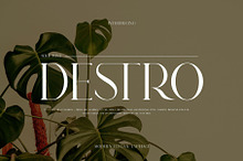 DESTRO Ligature Serif Font
