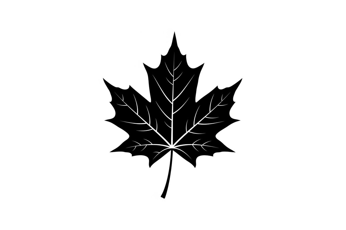 Maple Leaf Silhouette Bundle, a Graphic by musafir_fashion (Photo 3 of 10)