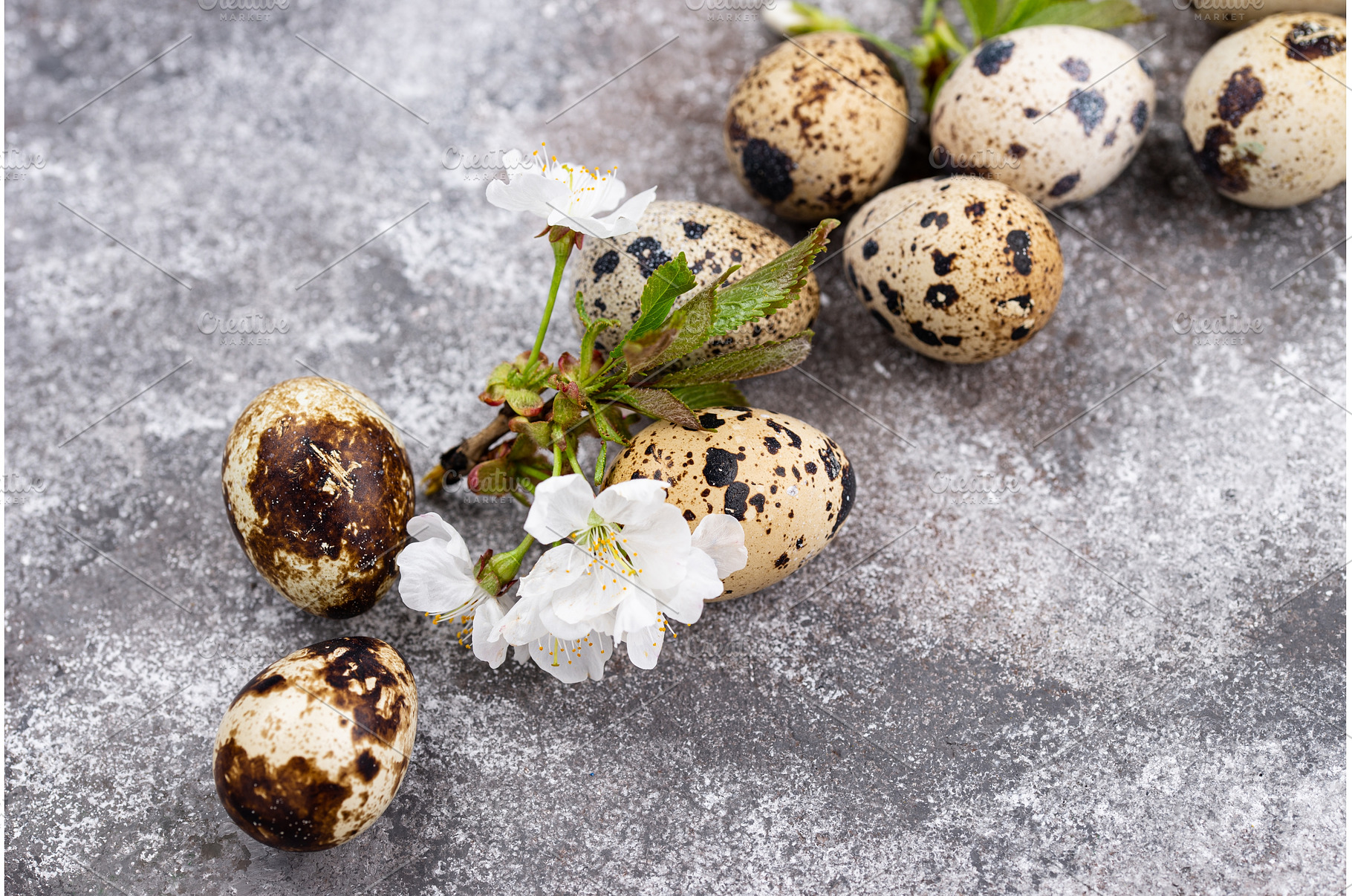Easter concept. Quail eggs and, a Holiday Photo by Yulia Furman