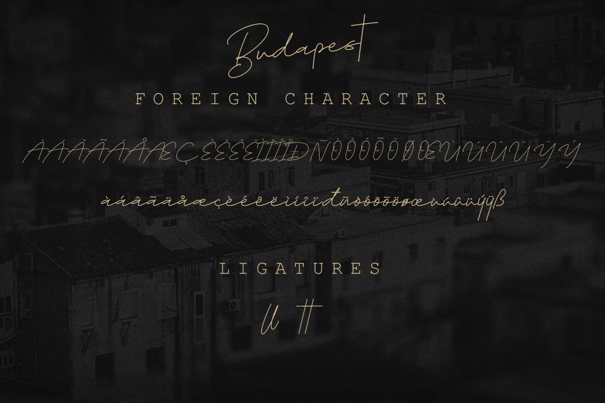 Lovely Script Bundle preview 4