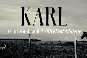 Karl Whitefoot