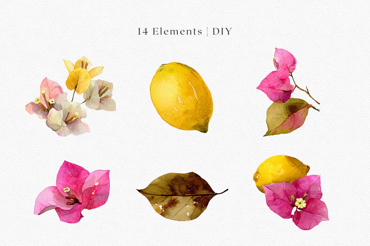 Watercolor Bouganvilleas and Lemons, a Decorative Illustration by ThaismotaCreativeCo (Photo 2 of 11)