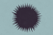 10 StarBurst - Hand Illustrated, an Illustration by GhostlyPixels (Thumbnail 3 of 5)