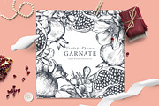 Pomegranate Fruit Vector Set, a Food Illustration by Molly art (Thumbnail 3 of 8)