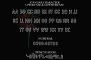Stay Calm, a Script Font by FreshTypeINK (Thumbnail 3 of 8)