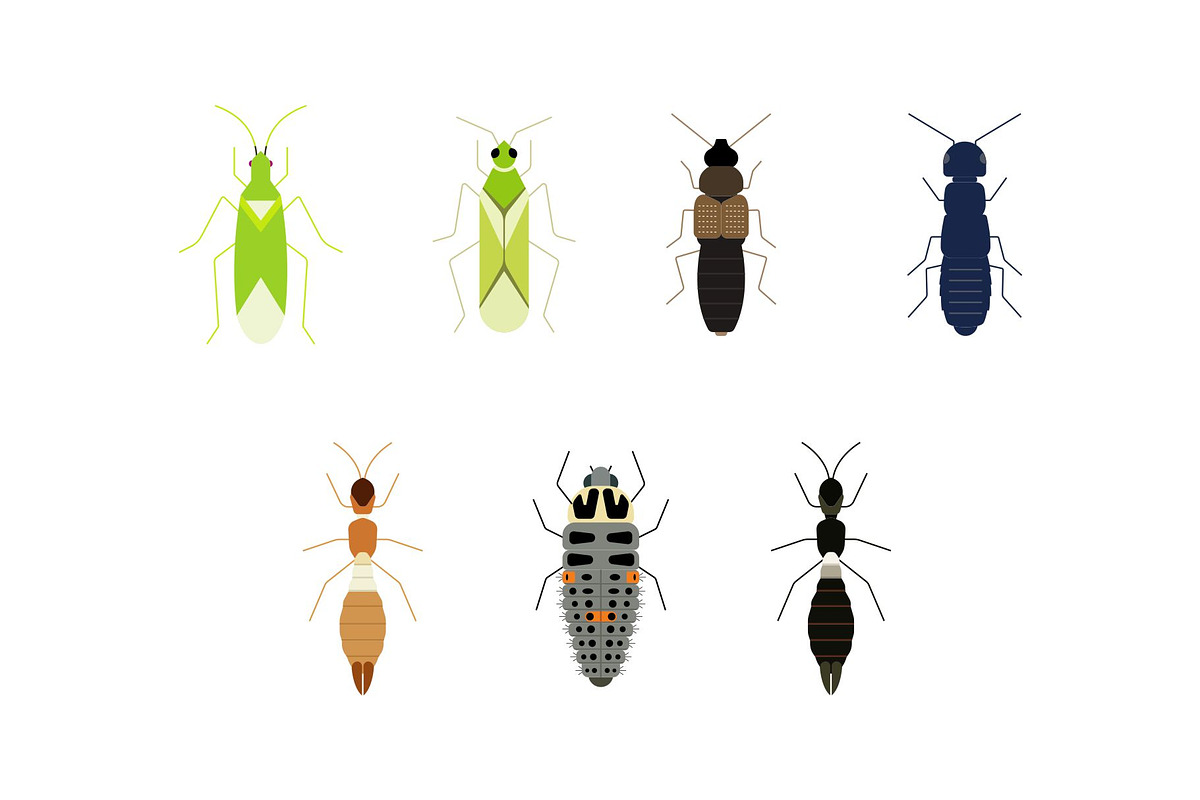 Flat Insects Illustration, an Animal Illustration by Buqancreative (Photo 4 of 6)