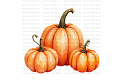 Dusty Orange Pumpkins, a Decorative Illustration by Bloom Craft Creations (Thumbnail 6 of 12)