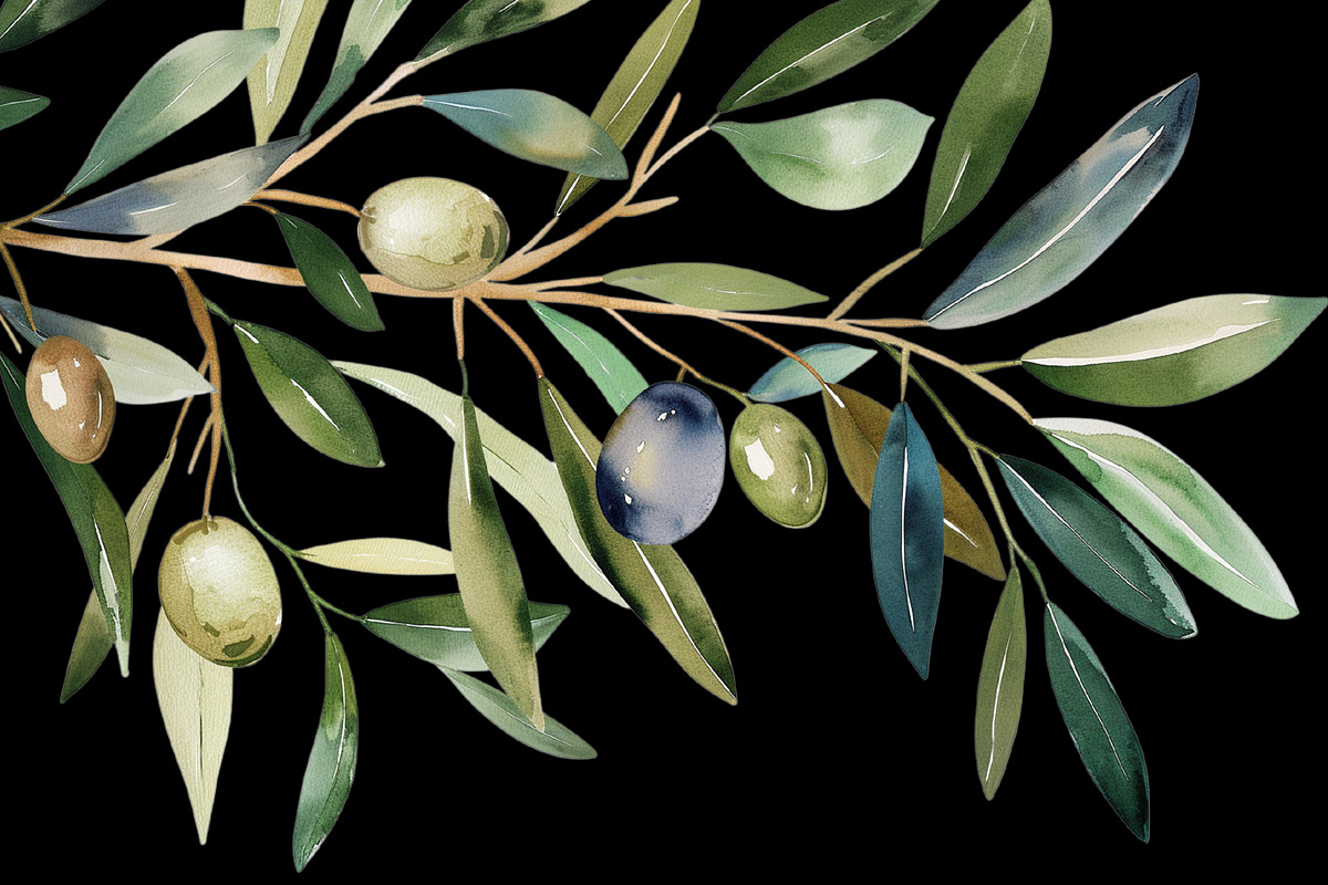 Watercolor Oliva Branch Clipart Png, an Object Graphic by Naty Art (Photo 5 of 8)