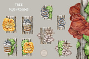 Mushrooms Watercolor Clipart, a Food Illustration by AnitaPol (Thumbnail 7 of 24)