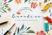 Brandine Script, a Script Font by BlueRobinDesignShop (Thumbnail 1 of 6)