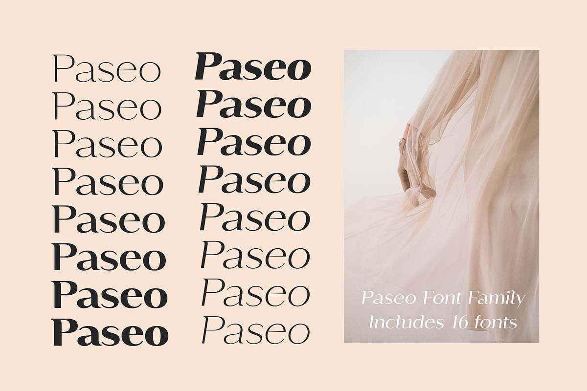 Paseo, a Sans Serif Font by Larin Type Co. (Photo 3 of 15)
