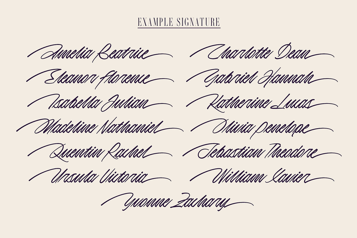 Theodore Hamilton | Signature Font, a Script Font by Lemonthe (Photo 5 of 10)