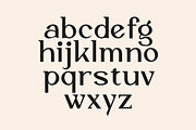 Vaggoe Elegant Serif Font, a Serif Font by Artiveko (Thumbnail 9 of 10)
