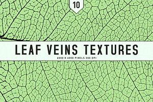 Leaf Veins Textures, a Texture Graphic by Creativetacos
