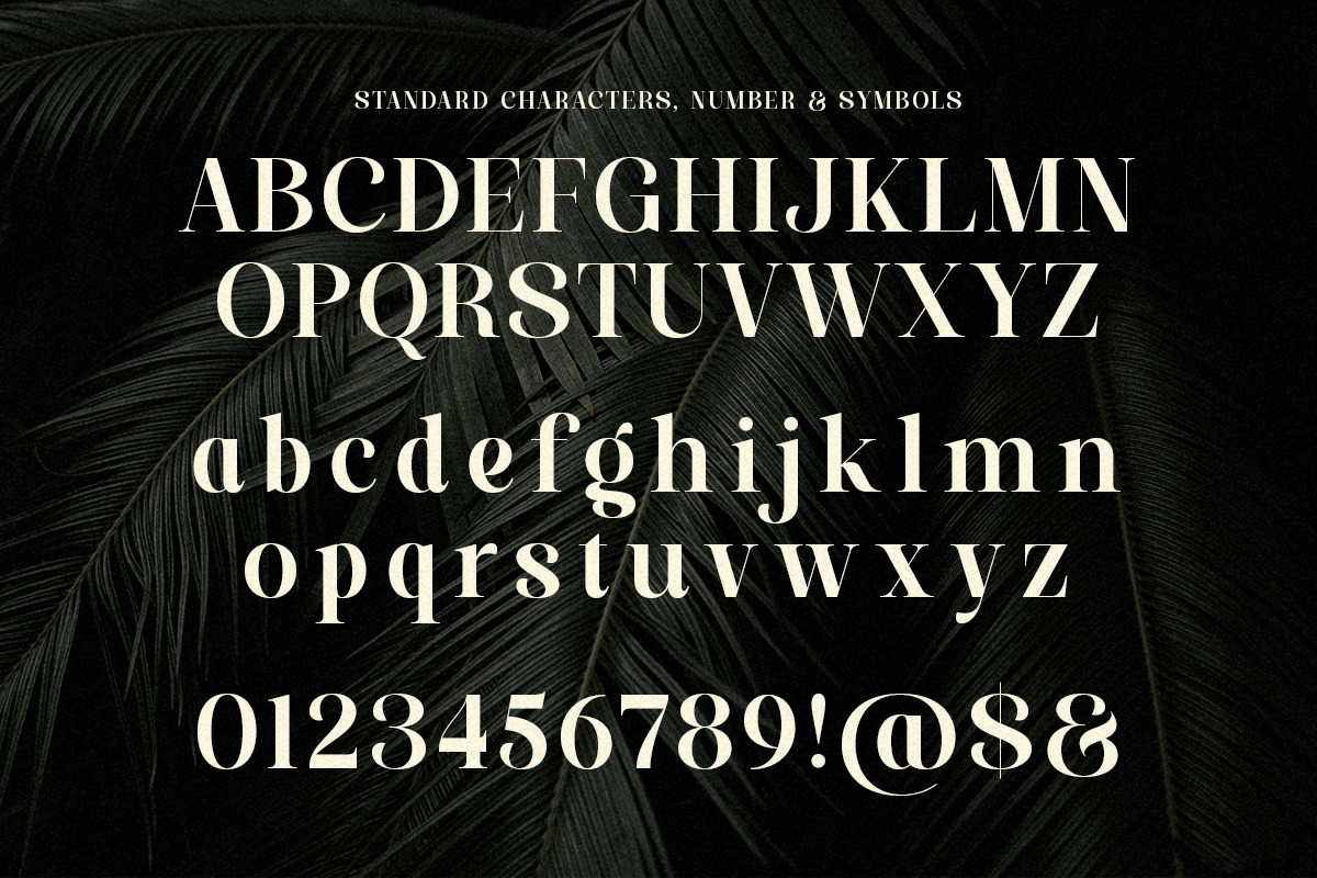 Paradise Spring - Soft Elegant Serif, a Serif Font by Shakira Studio (Photo 9 of 10)
