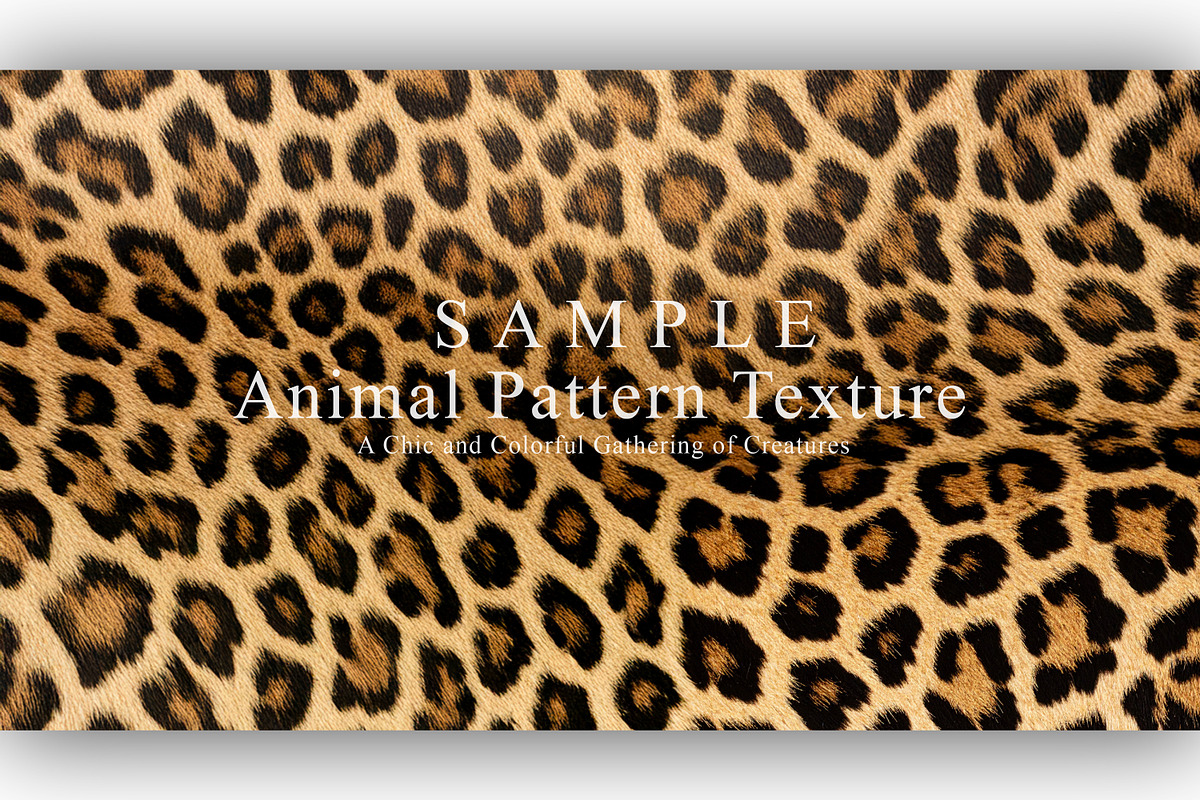 24 Animal Pattern Texture