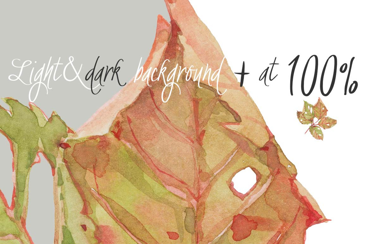 0405 Indian Summer, a Work Illustration by watercolorwild.graphics (Photo 5 of 9)