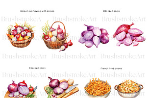 Watercolor Onion Clipart, Onion PNG