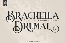 Brachella Drumal