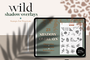 Wild Shadow Overlays for Procreate, a Brush Add-On by OkayAnnie Designs (Thumbnail 1 of 9)