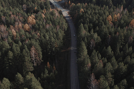 Curve asphalt road with cars between autumn forest in Ural