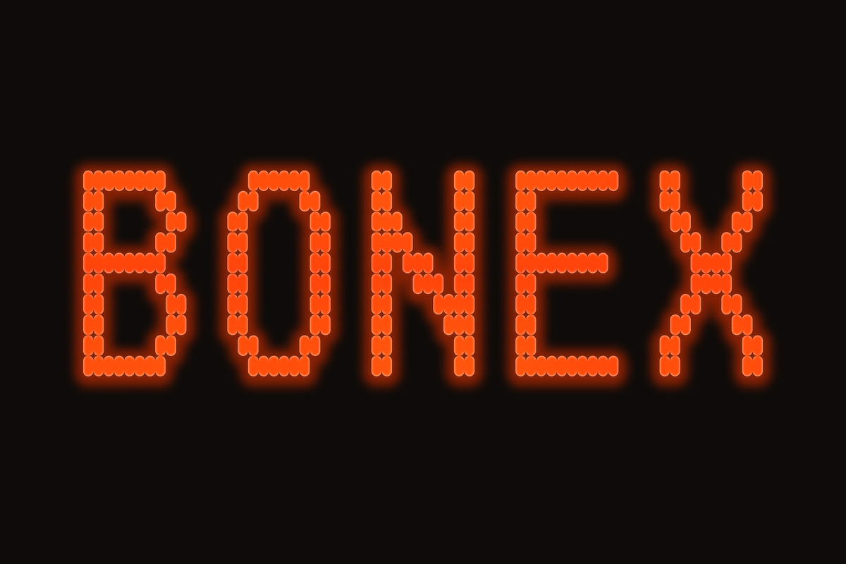 BONEX PRO FONT, a Sans Serif Font by DongseokHam (Photo 1 of 3)