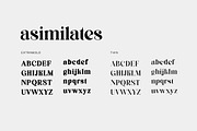 Asimilates Modern Classic Serif Font, a Serif Font by UICreative (Thumbnail 9 of 13)