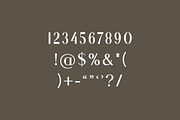 Silvania Modern Serif Font, a Serif Font by UICreative (Thumbnail 4 of 12)