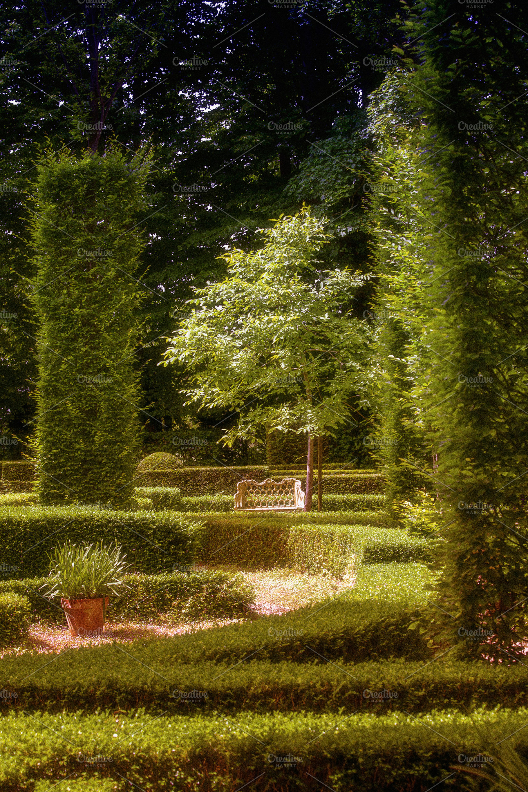 Beautiful Lush And Green Garden