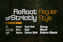 Reflect of Strictly Normal