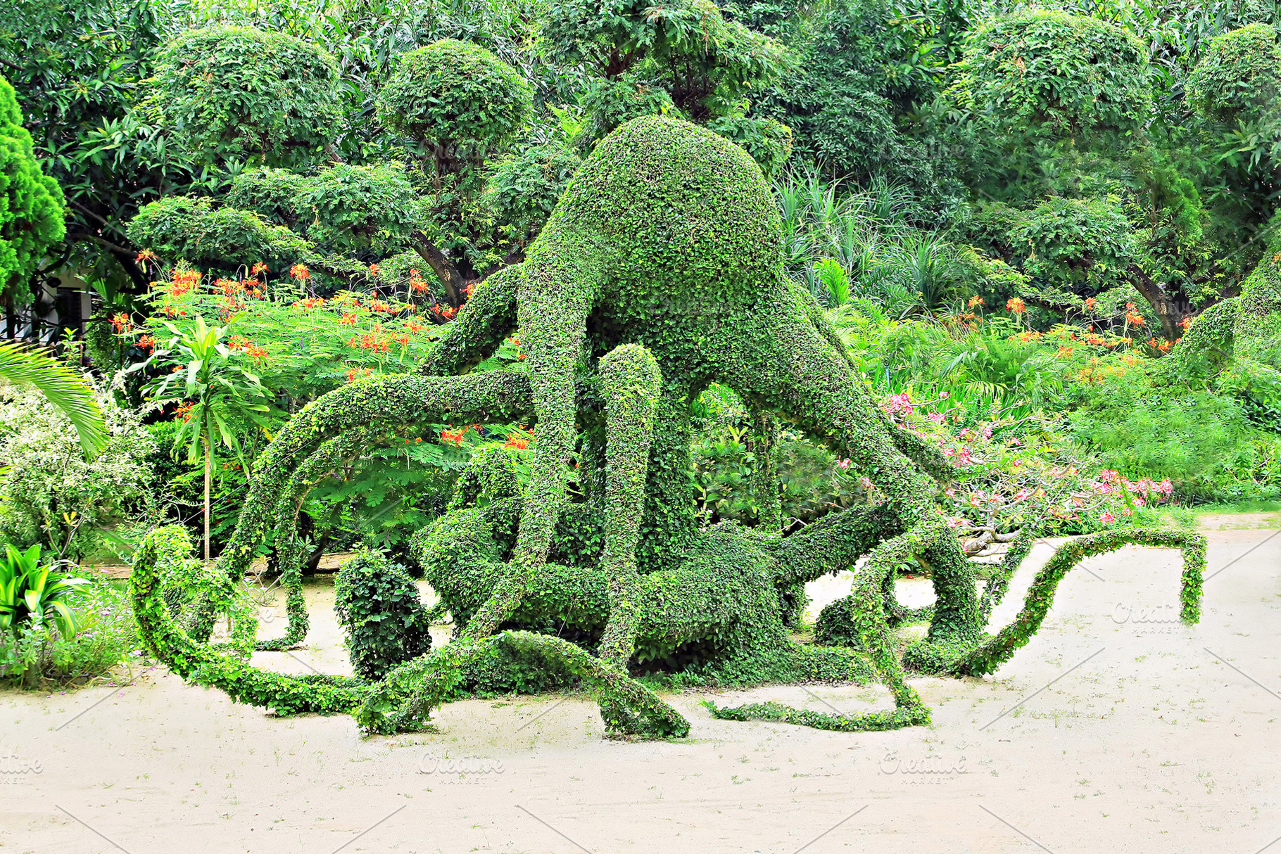 Octopus, a Photo by saiko3p