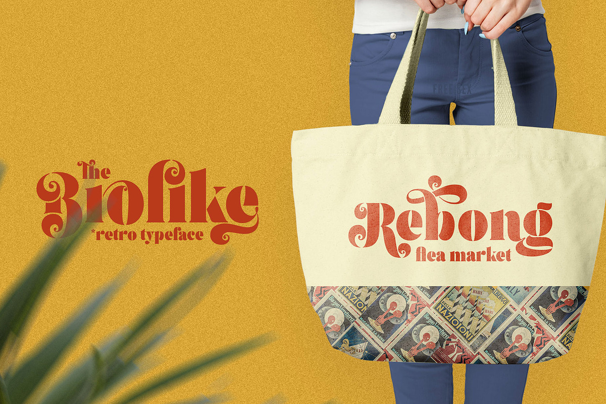 Brolike Typeface, a Serif Font by alit design (Photo 3 of 18)