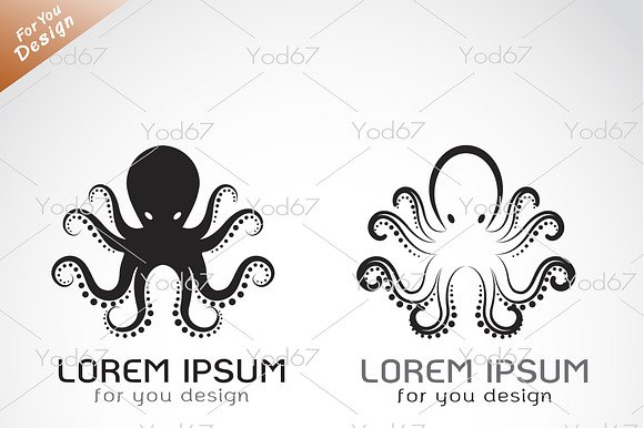 Vector Of An Octopus. Animal.