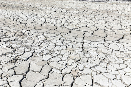 Cracked soil stock photo containing soil and surface, an Abstract Photo by Grafvision photography