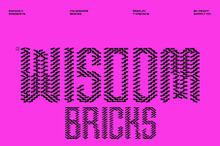 CS Wisdom Bricks