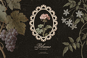 Old Master Blooms. Collage kit, an Object Graphic by Polli Deeva (Thumbnail 8 of 12)