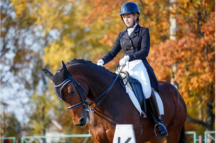 Teenage girl riding horse on, a Sports & Recreation Photo by serkum