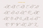 Westerlife - Elegance Serif, a Serif Font by epicatype (Thumbnail 9 of 10)