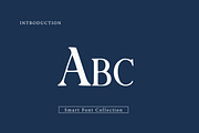 Elegant, a Serif Font by Wow Magic (Thumbnail 2 of 3)