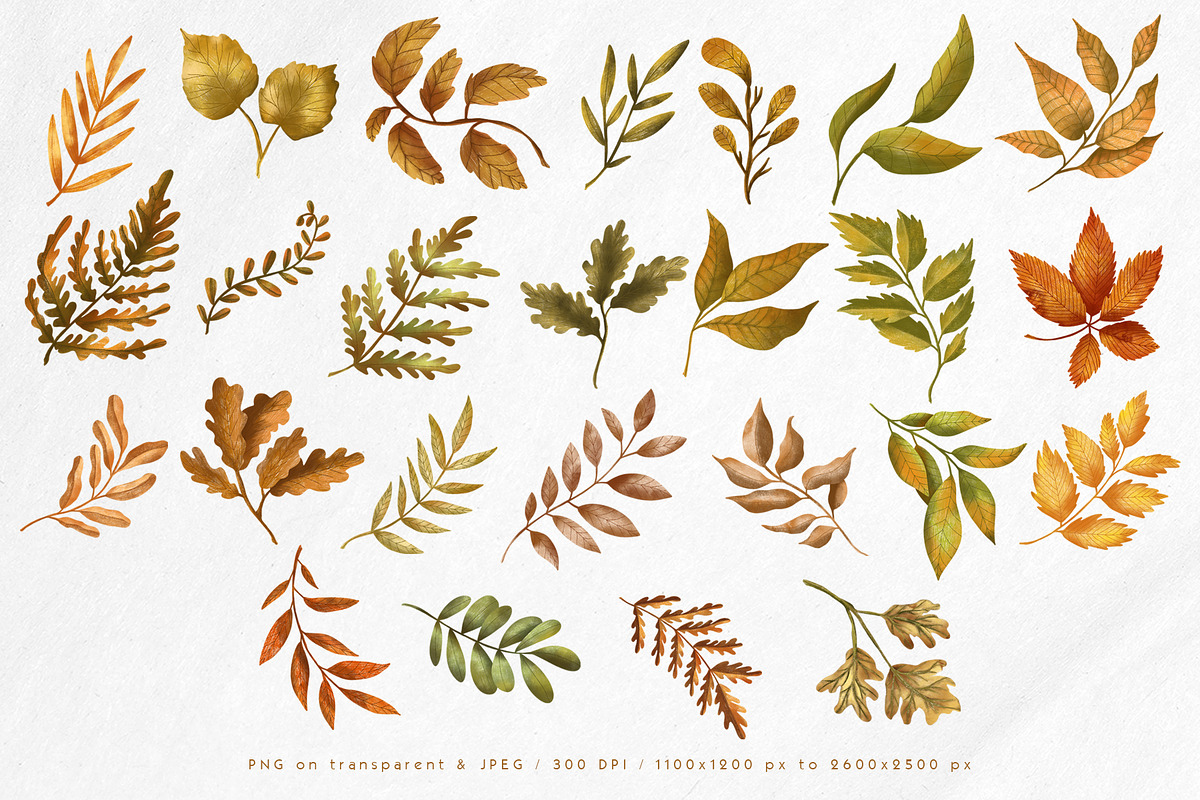 Fall sweet fall leaves illustration, a Seasonal Illustration by Yelloo Fish (Photo 4 of 15)
