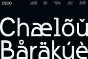 Qalited – Industrial Font, a Sans Serif Font by Craft Supply Co. (Thumbnail 5 of 8)