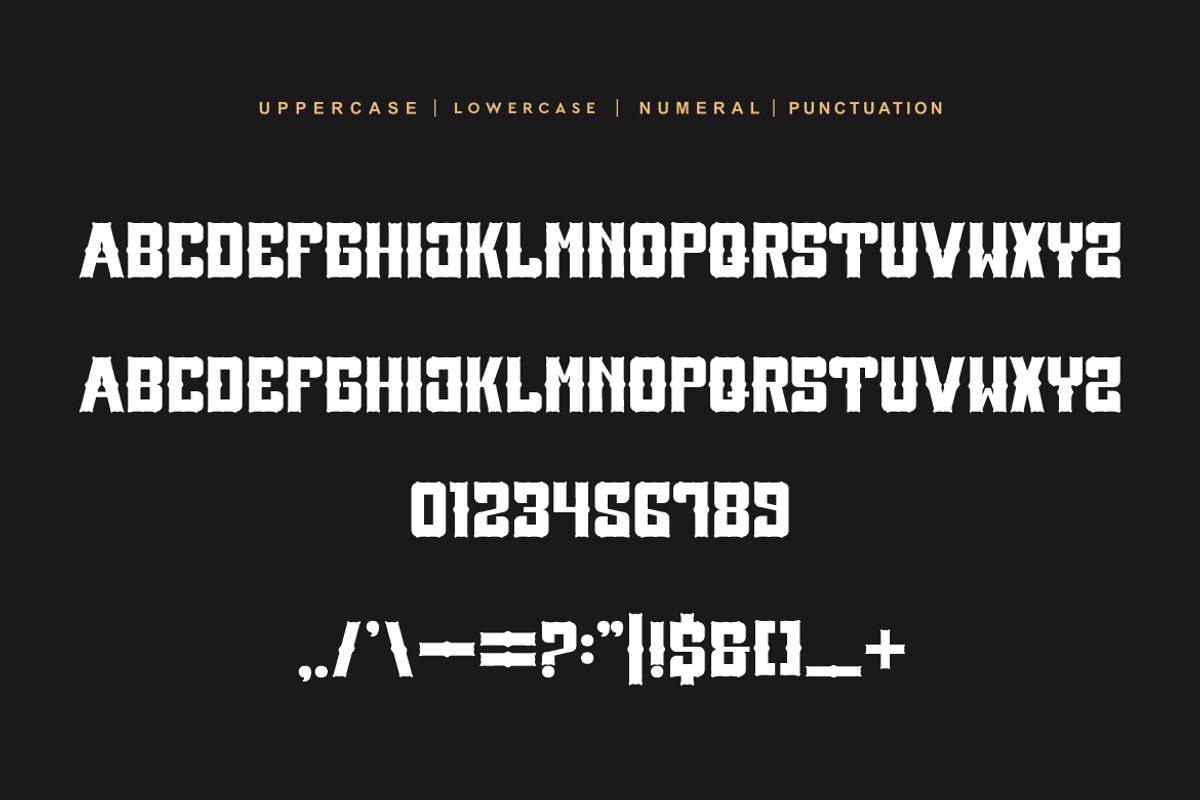 Royal Coboys - Western Font, a Serif Font by QR Design Studio (Photo 5 of 6)
