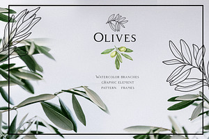 Olive Design. Watercolor And Graphic