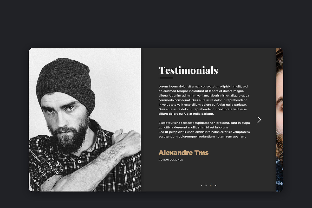 Gallant UI Kit, an UI Kit Template by alexandretms (Photo 6 of 7)