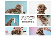 Pet Grooming Studio Photos for Brand, an Animal Photo by Animalistica (Thumbnail 1 of 3)