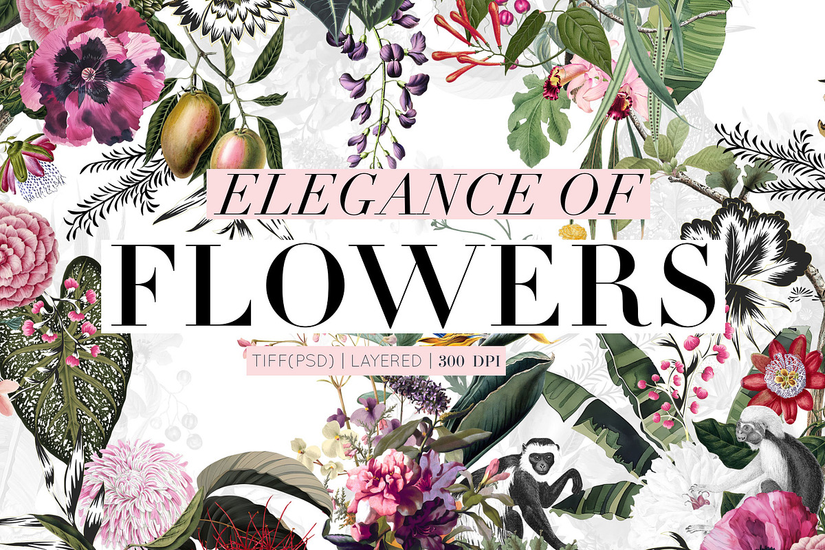 Elegance of Flowers!, a Pattern Graphic by Pink Linen (Photo 1 of 11)